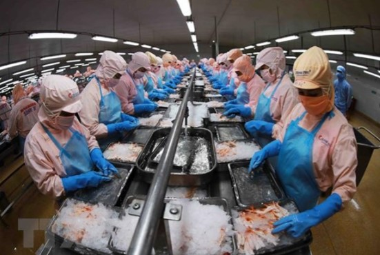 Hỏi - Đáp pháp luật: Hành vi cản trở hoạt động quản lý nhà nước về thủy sản bị xử phạt như thế nào?